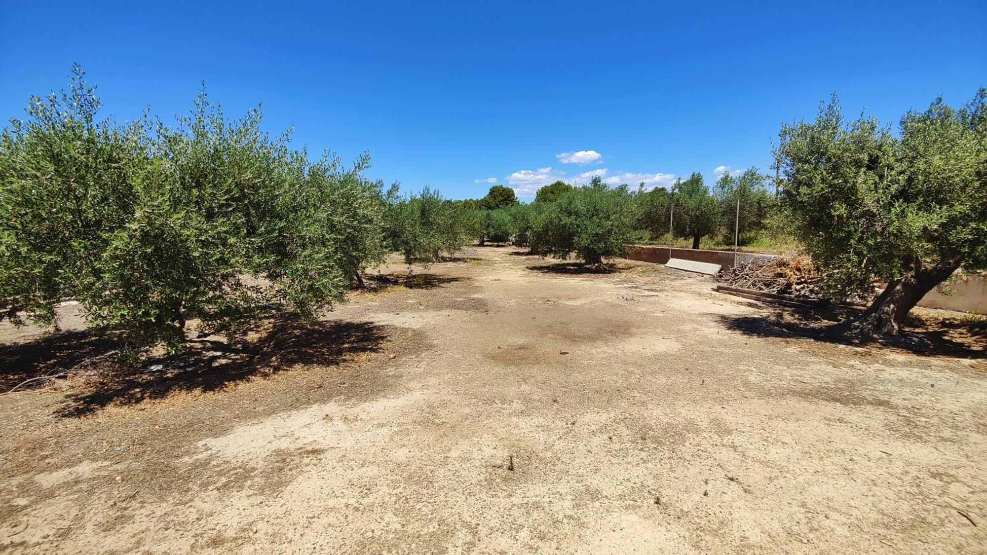 Villa Elena Salou Eksteriør billede